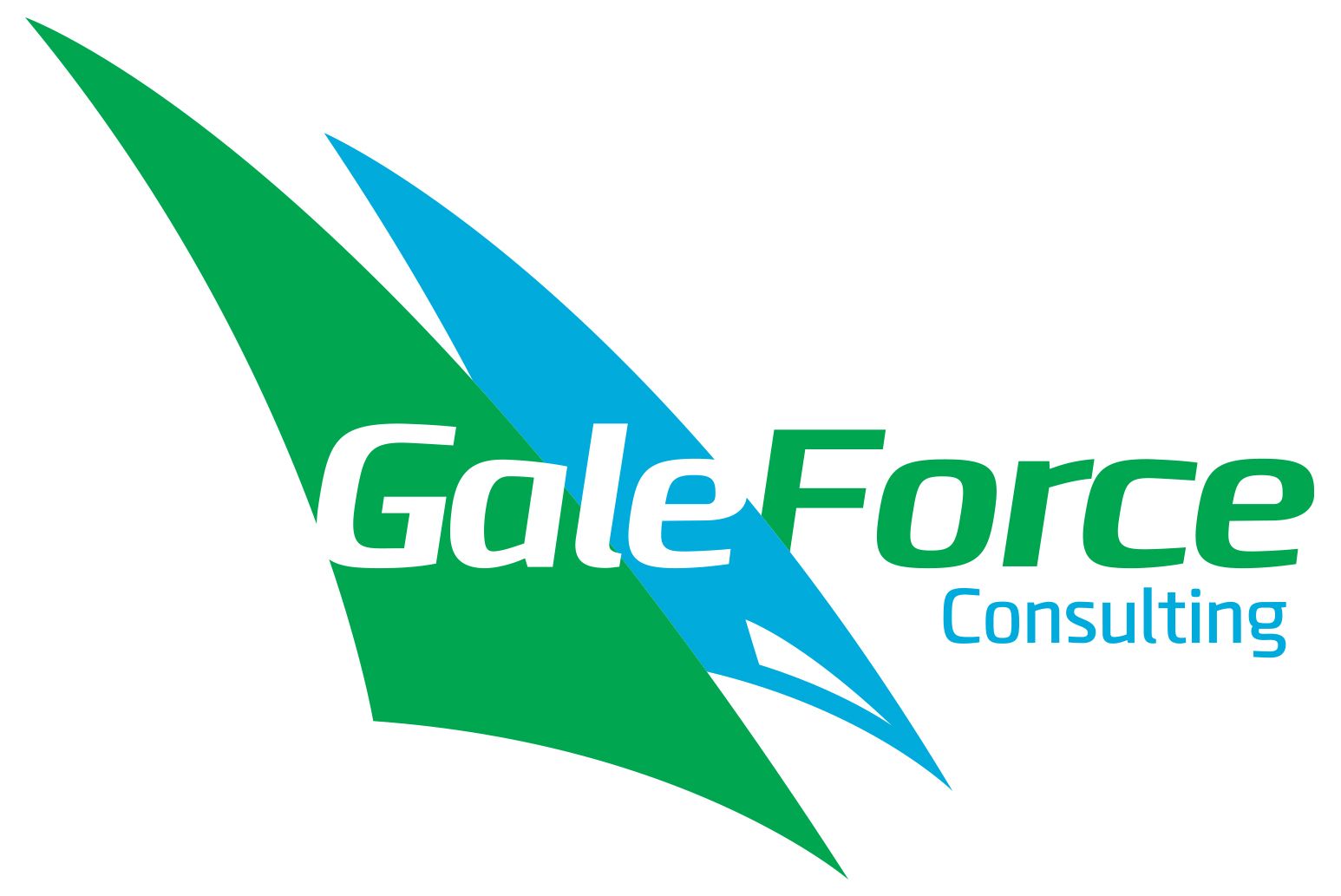 GaleForce Consulting Partners